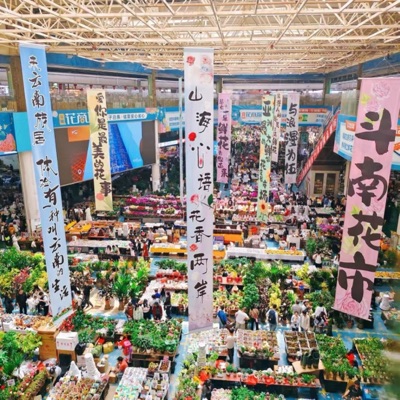 斗南花卉市场